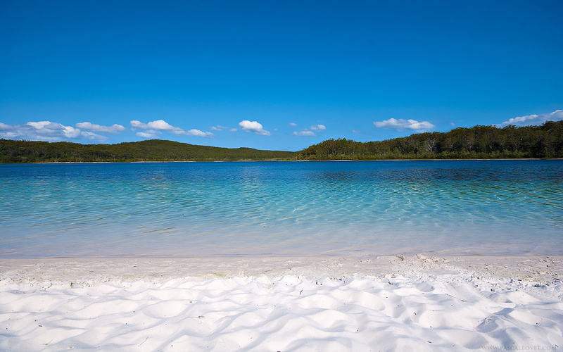 vacations, landscape, day, copy space, land, summer, lagoon, forest, idyllic, lake, sun, travel, body, scenics - nature, coast, sky, relaxation, tranquility