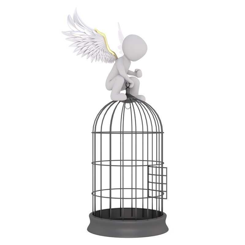 creativity, caught, 3d, photo, one animal, animal themes, full body, art and craft, studio shot, cage, 3d-model, 8K, Model, decor, bird cage, black, cut out