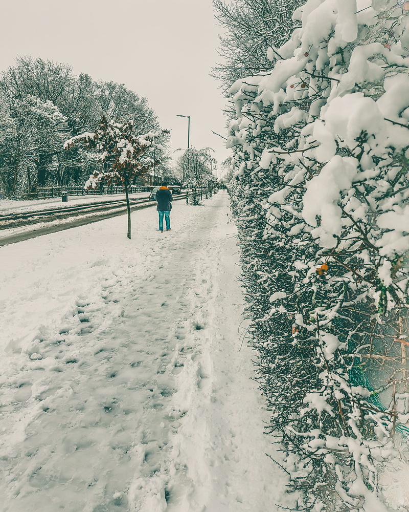 real people, hertfordshire, full length, lifestyles, snowcapped mountain, outdoors, plant, one person, field, london, warm clothing, snow, rear view, covering