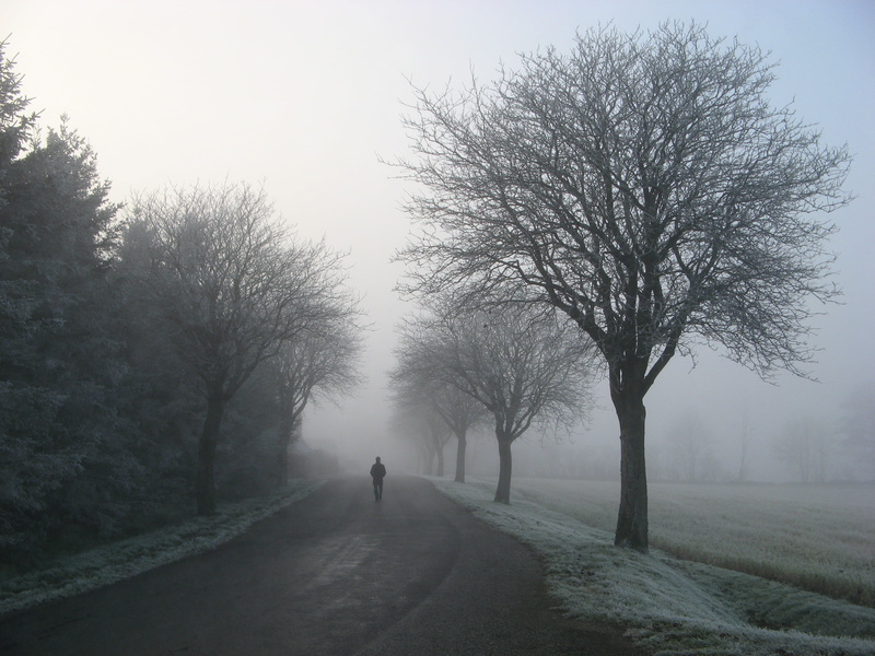transportation, ice, treelined, beauty in nature, walking, peaceful, bare tree, cold - Temperature, zing, weather, one person, cold temperature, frozen