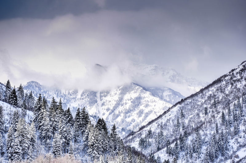 scenic, pine tree, day, glacier, plant, white color, landscape, snowcapped mountain, snowy, hill, non-urban scene, tranquil scene, alpine, range, frozen