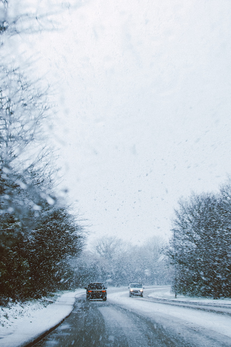 fog, wood, vehicles, season, storm, extreme weather, mode of transportation, covering, trees, car, snowing, weather, land vehicle, frozen, beauty in nature