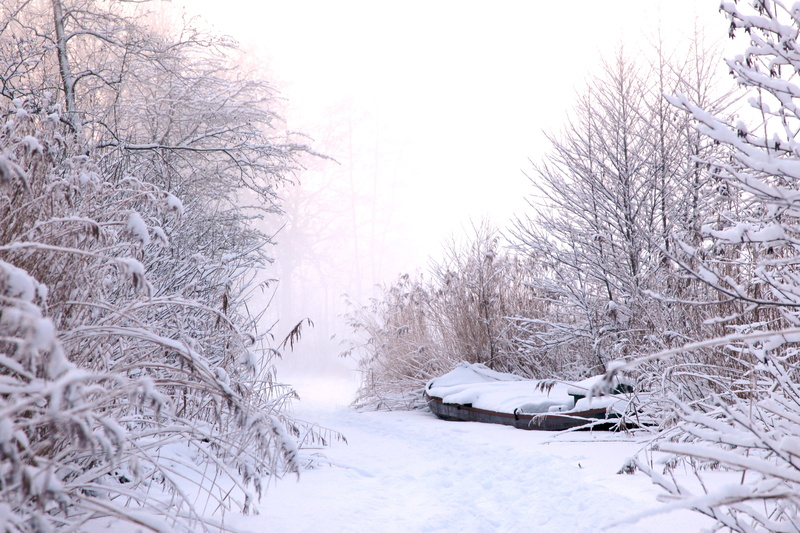 ice, dutch landscape, ripe, scenics - nature, field, relaxation, winter, outdoor, covered, land, peaceful, hiking, beauty in nature, snow, water, 8K, covering