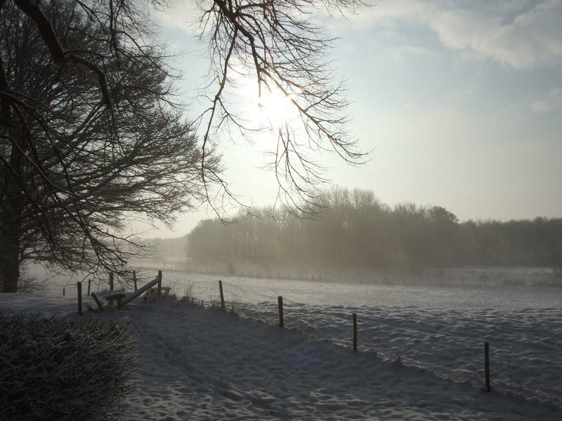 Landscape, december, Snowy, wooden post, zing, water, 2K, trees, outdoors, no people, Snow, Winter, sky, nature, scenics - nature, fence, Freezing, beauty in nature