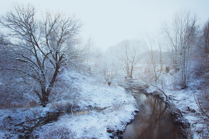 landscape, stream - flowing water, frosty, stream, season, snow capped, nature, icy, weather, scene, plant, ice, daytime, cold temperature, cold, fog, scenics - nature