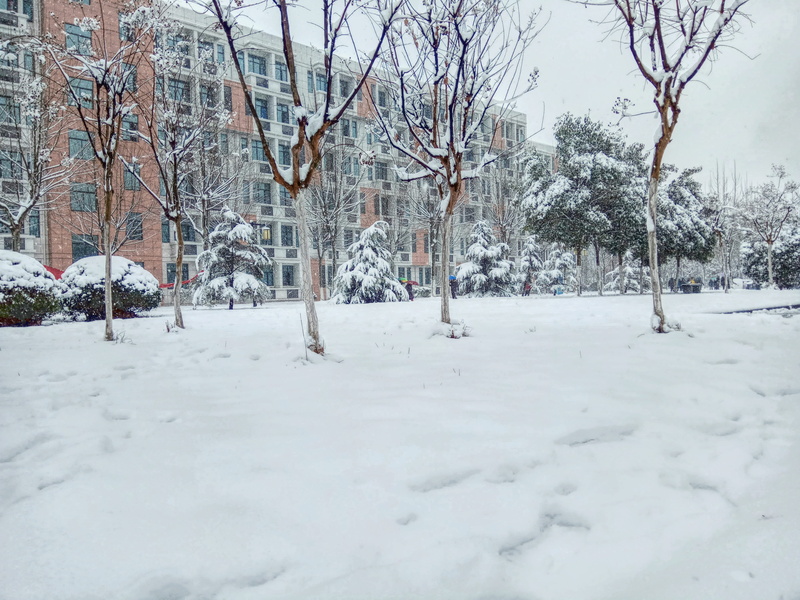 covering, building, snowy, fog, tree, cold temperature, tranquil scene, day, winter, 4K, no people, cold, countryside, beauty in nature, land, snow, nature
