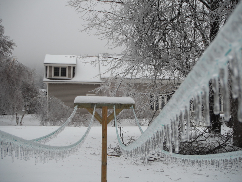 building, branch, clothesline, snowstorm, cold temperature, snow-white, house, snowing, plant, brown, ice, gray sky, architecture, woods, bare tree, land