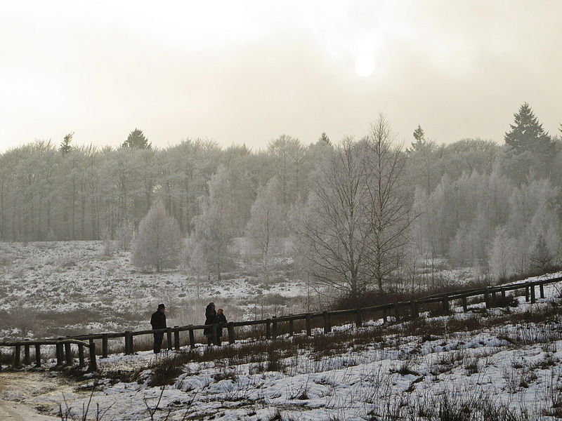 sky, field, snowing, cold, snow landscape, Fog, landscape, scenics - nature, warm clothing, Snowy, 5K, Winter, day, Trap, land, beauty in nature, boundary