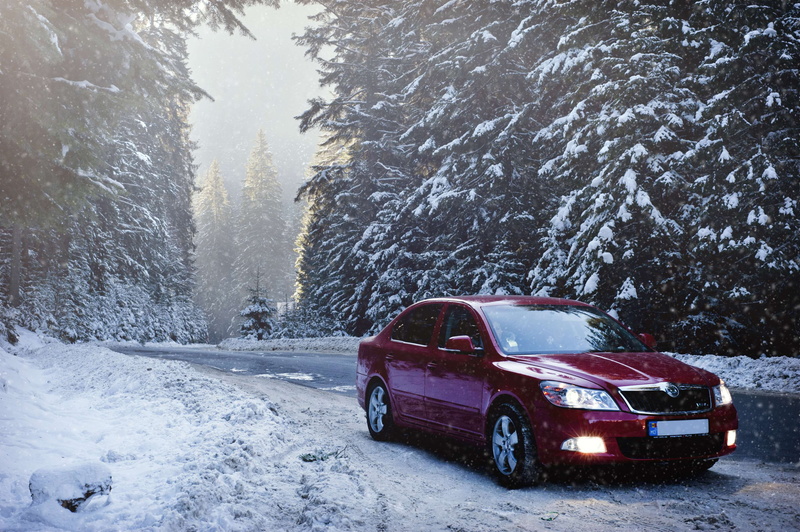 day, trees, transportation, lights, nature, winter, landscape, car, cold, 4K, frosty, outdoor, ice, road, zing, forest, white, weather, blizzard, beauty in nature