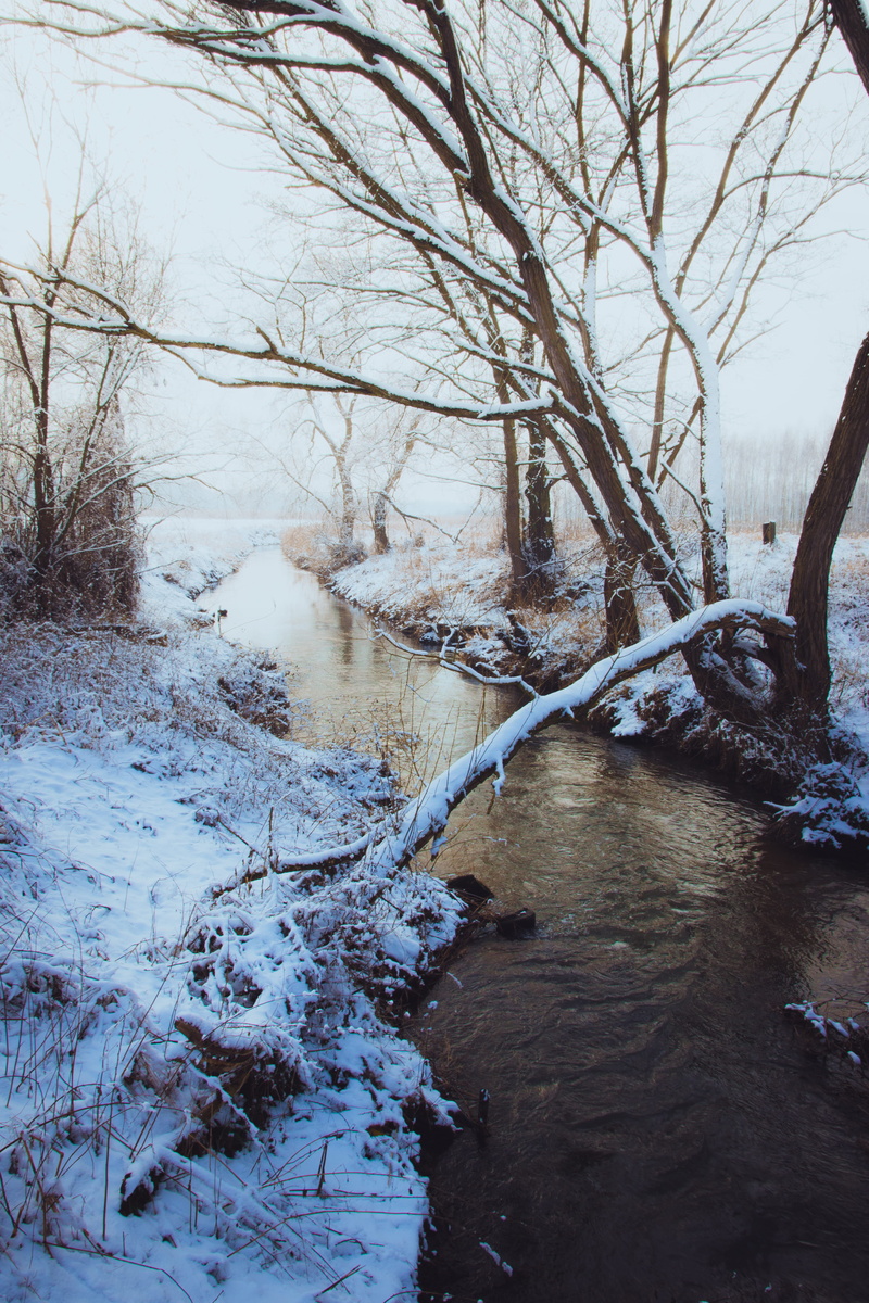 tranquil scene, scenics - nature, land, snow capped, outdoors, 5K, water, environment, plant, no people, cold temperature, nature, bare, non-urban scene
