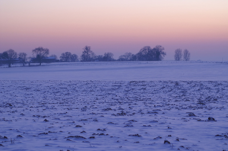 zing, sunset, purple, ice, fog, 2K, cold temperature, foggy, ze, scenics - nature, landscape, winter, tranquility, cold, dawn, plant, outdoors, water
