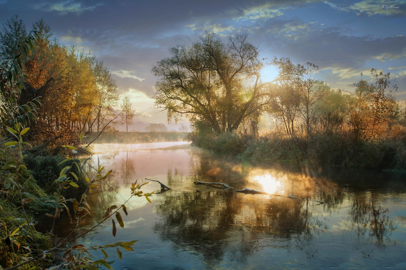 1080P, zing, frost, fog, autumn, nature, pond, trees