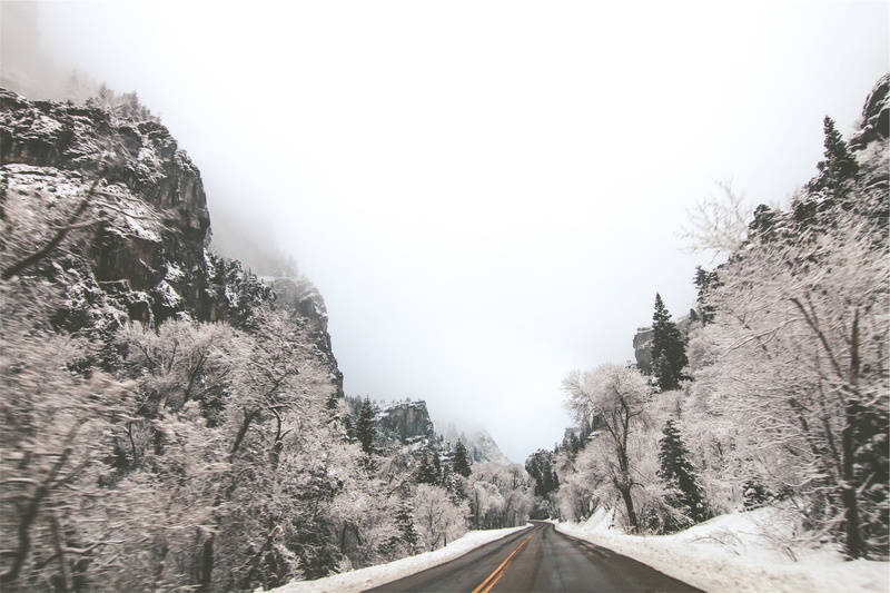 trees, road, pine tree, scenics, coniferous tree, nature, landscape, pavement, ice, direction, outdoors, hills, plant, pine woodland, extreme weather, sky