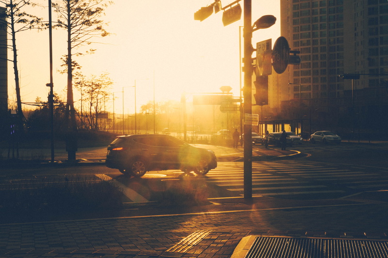 road, city, city life, golden, intersection, light, urban, tree, building exterior, 5K, transportation, traffic lights, crosswalk, built structure, crossing