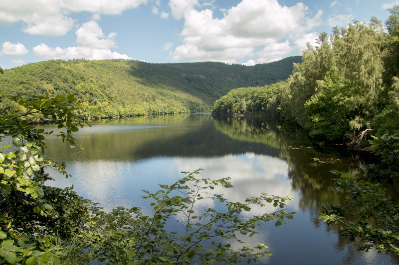 idyllic, growth, tranquility, summer, nature, spring, sky, waters, away, germany, non-urban scene, hiking, hill, reflection, tranquil scene, eifel, day
