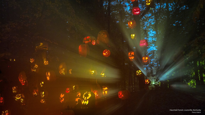 haunted, kentucky, 2K, Holidays, forest, louisville
