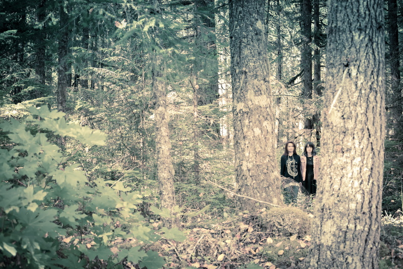 leisure activity, trunk, tree trunk, land, plant, kids, outdoors, nature, forest, beauty in nature, tranquility, woodland, day, united states, 5K, haunted