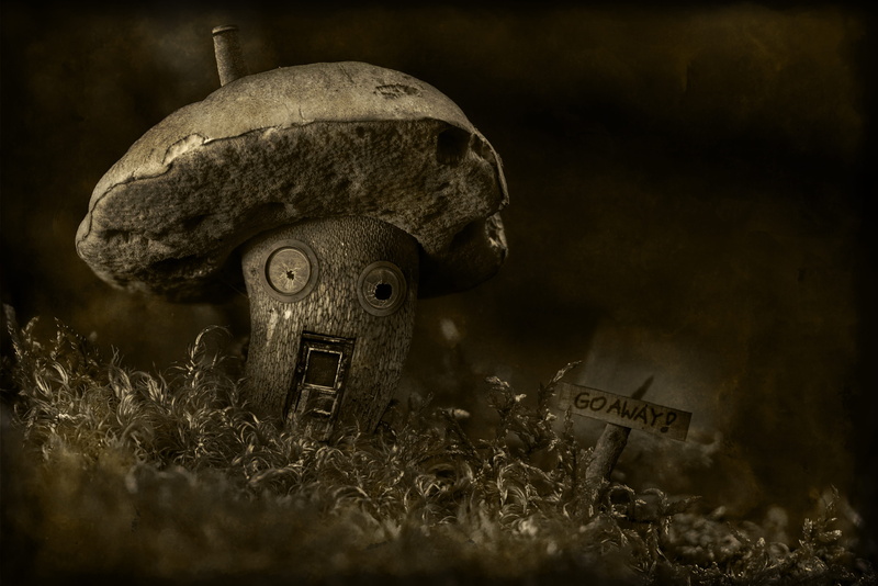 4K, selective focus, dark, weathered, old, mushroom, nature, grave, no people, haunted, security, art and craft, outdoors, depart, cemetery, the past