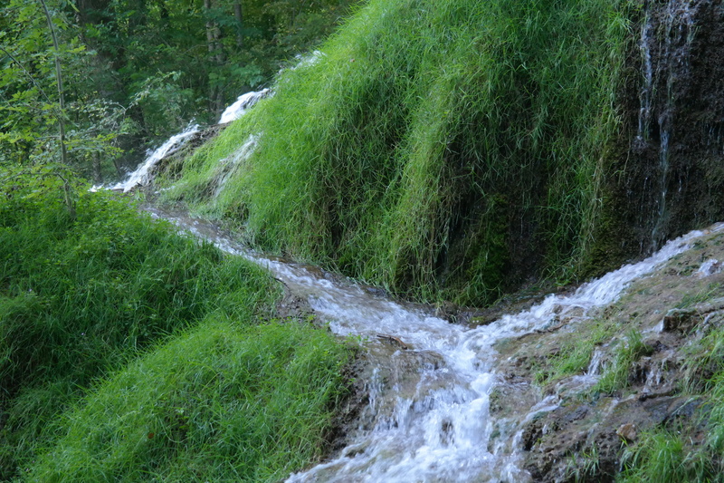 moss, tree, green color, day, grass, outdoors, beauty in nature, swabian alb, Murmur, Flow, green, nature, near, waterfall, land, haunting, daytime, taken