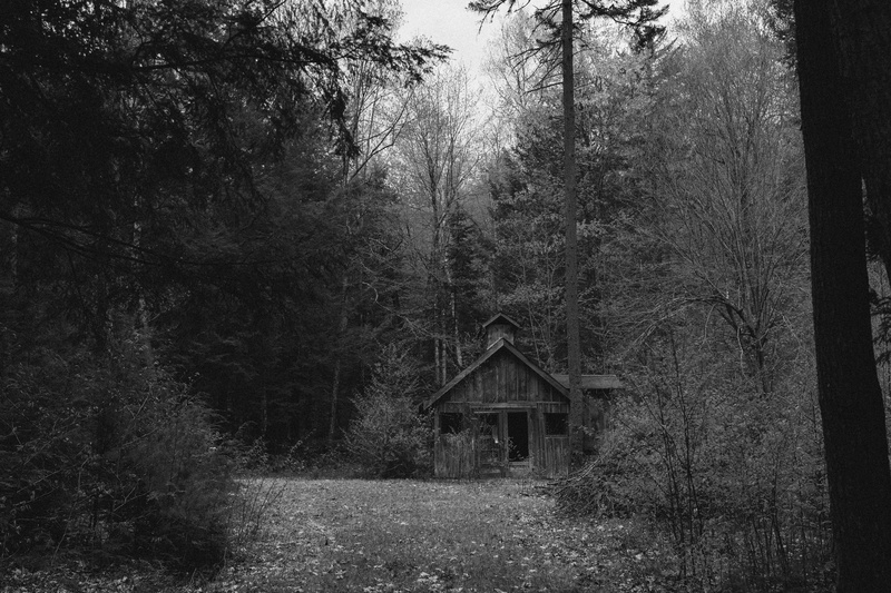 cottage, eerie, tree trunk, growth, haunted, built structure, landscape, tranquil scene, cabin, environment, forest, nature, woodland, abandoned, trunk