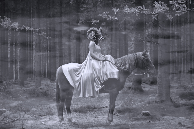 black and white, horror, dust, white, outdoors, black, day, creature, real people, group of animals, evil, land, goat, horse, motion, field, herbivorous
