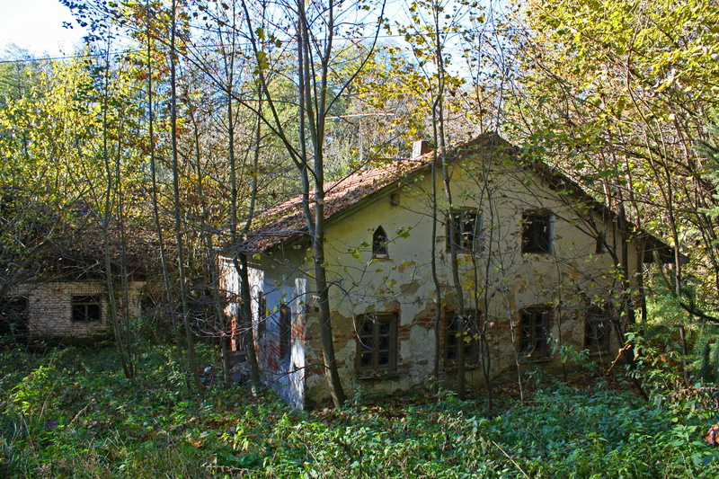 day, building, residential district, haunting, ruin, abandoned, nature, tree, building exterior, witchs house, architecture, outdoors, field, forest, built structure