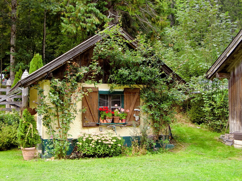 no people, garden shed, forest, dacha, beauty in nature, entwine, cabin, romantic, grass, house, haunting, romance, mysterious, outdoors, built structure