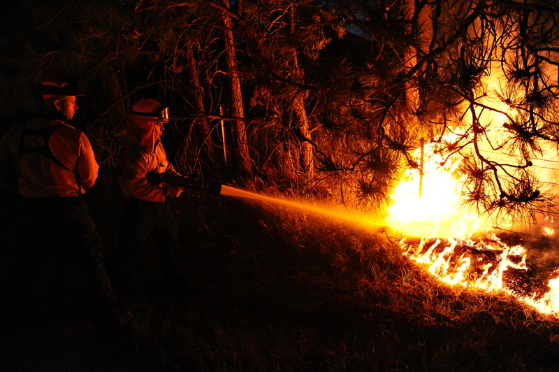 child, firemen, spraying, flames, firefighters, heat - Temperature, forest fire, equipment, land, communication, flame, real people, tree, burning, 4K