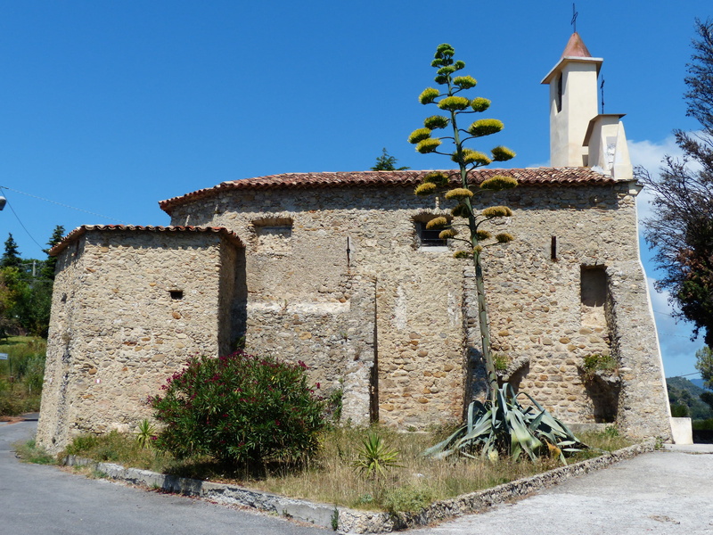 spirituality, church, tree, stone wall, plant, asparagaceae, building exterior, history, religion, no people, 4K, architecture, asparagus plant, Inflorescence