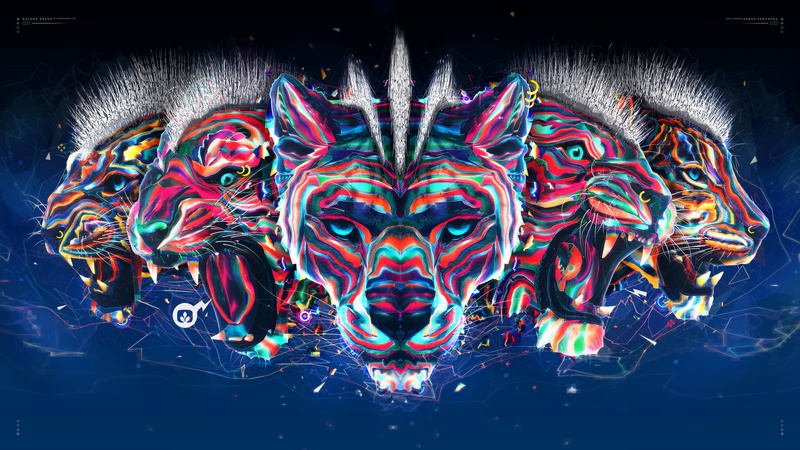 4k, 2K, HD, Genus, 8k, Panthera