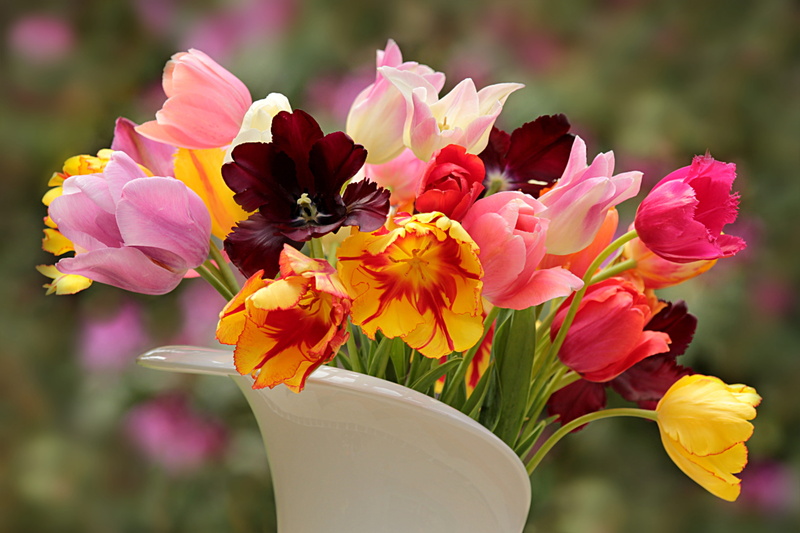 yellow, freshness, cut flowers, purple, tulips, bouquet, inflorescence, tulipa, growth, vulnerability, flowering plant, flower arrangement, pretty, plant