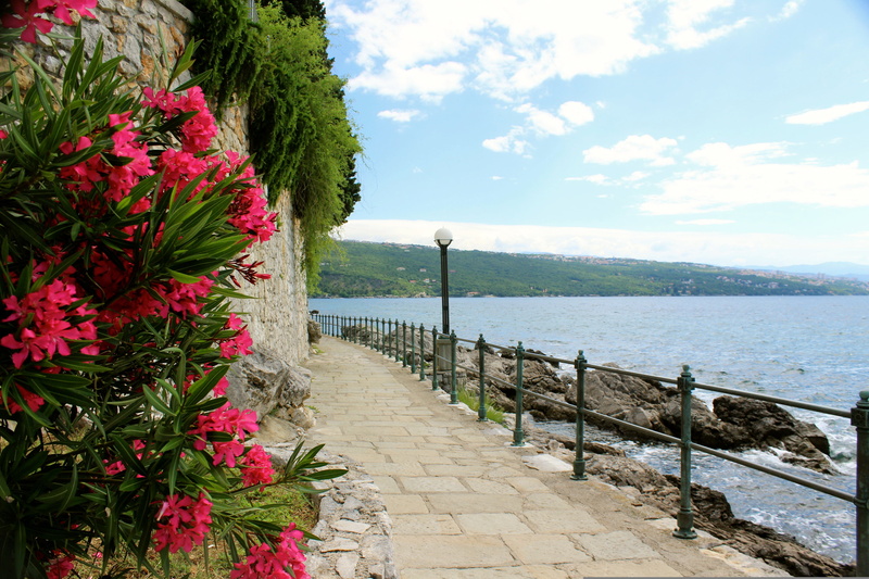 2K, tranquil scene, freshness, Opatija, coast, lantern, no people, nature, pink, footpath, petaled, railing, street, the fence, tranquility, growth, flowering plant