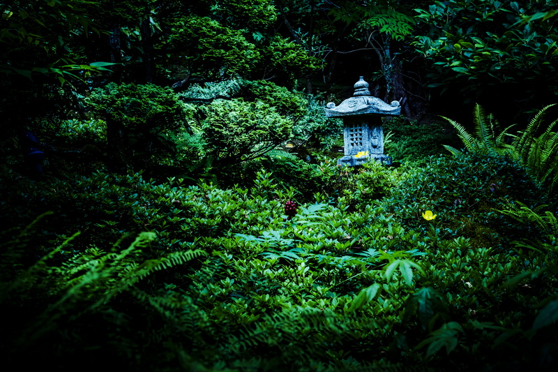 foliage, tree, green color, lush foliage, lantern, outdoors, trees, tranquility, growth, forest, plant, architecture, human representation, belief, landscape