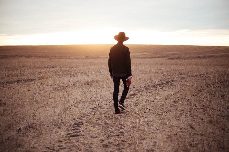 prairie, rear view, dried, man, sun, land, back lit, hat, book, landscape, 5K, horizon, nature, style, one person, hobby, carrying, horizon over land