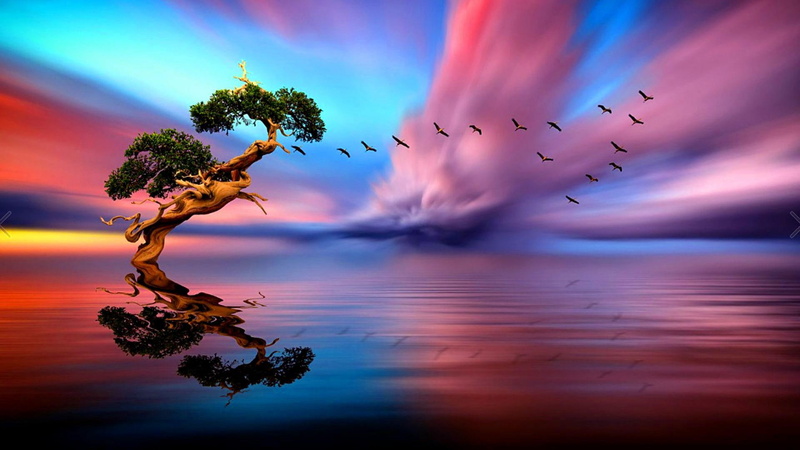 red, tree, sunset, cloud, birds, 1080P, flight, nature, lake, water, reflection, solitary