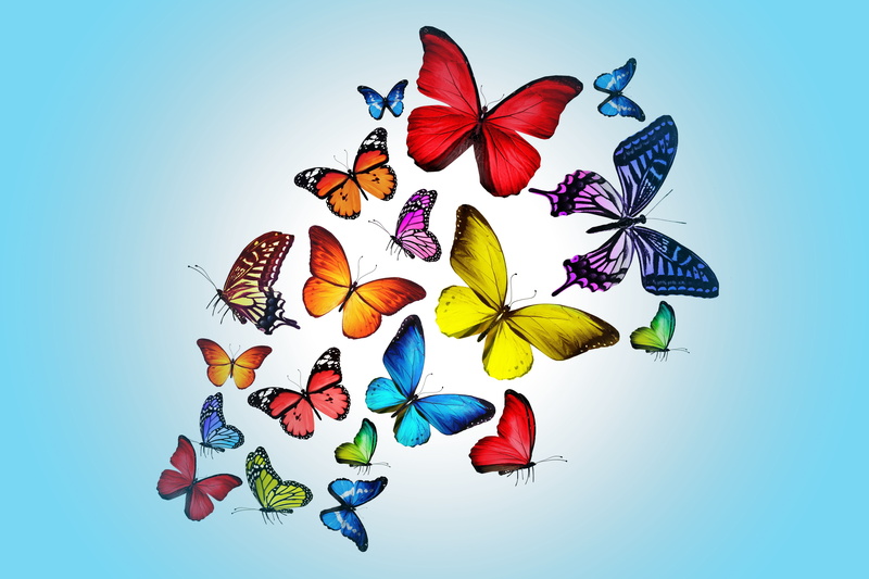 butterfly, 4K, butterflies, backgrounds, abstract, pattern, beauty In Nature, representation, springtime, colors, flying, leaf, animal representation