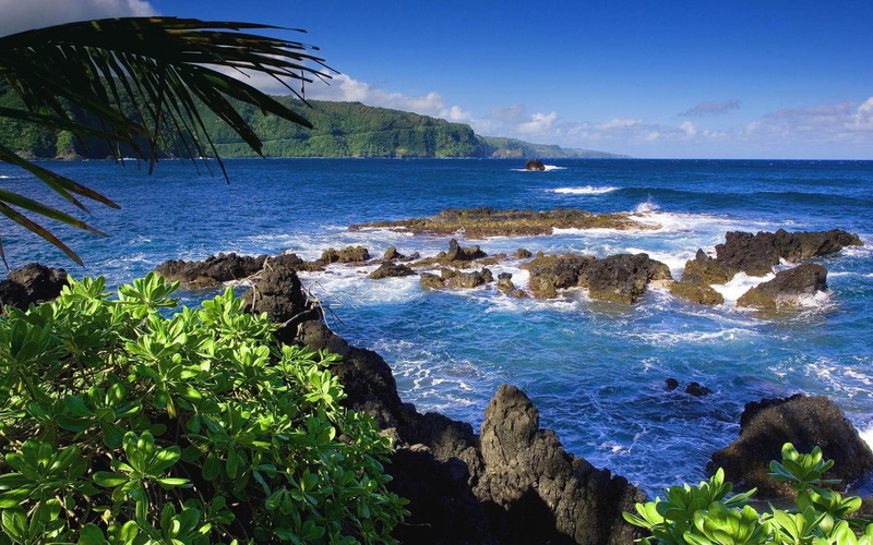 sea, amazing, 1080P, view
