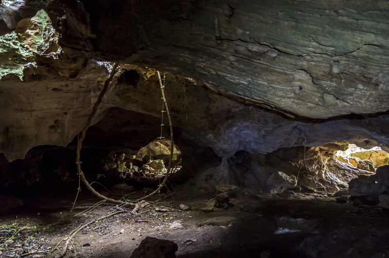 nature, cave, reserva ecologica varahicacos, illuminated, varadero, eroded, beauty in nature, rock - object, rock, day, gray, indoors, stalactite, architecture