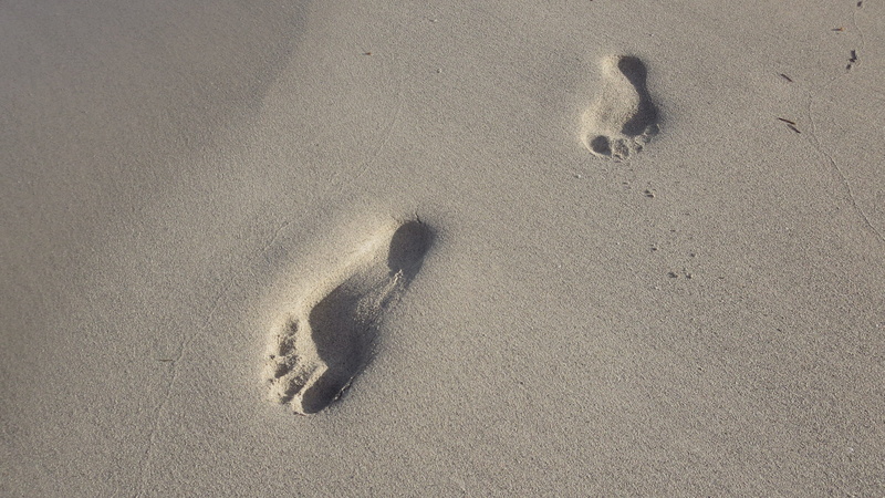 Varadero, footprint, coast, print, shadow, paw print, pattern, high angle view, Beach, close-up, destination, sunlight, full frame, nature, no people, representation