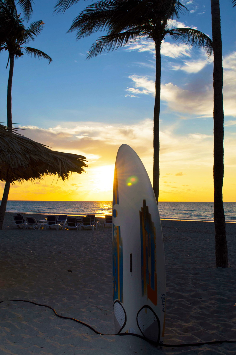beach, ocean, caribbean, palmtree, sand, water, outdoors, scenics - nature, summer, tropical, vacation, palm tree, beauty in nature, palmtrees, cuba, horizon over water