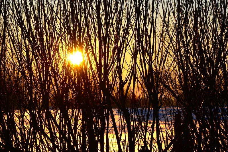 sunset, romance, snow landscape, 5K, tranquility, snow, lens flare, winter, sun, reflection, tree, winter mood, non-urban scene, evening light, water