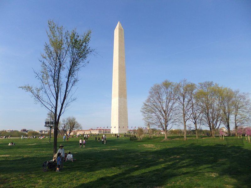 history, white, plant, walking, photography, usa, george washington, tall - high, built structure, blue, patriotism, travel, day, field, destination, concrete