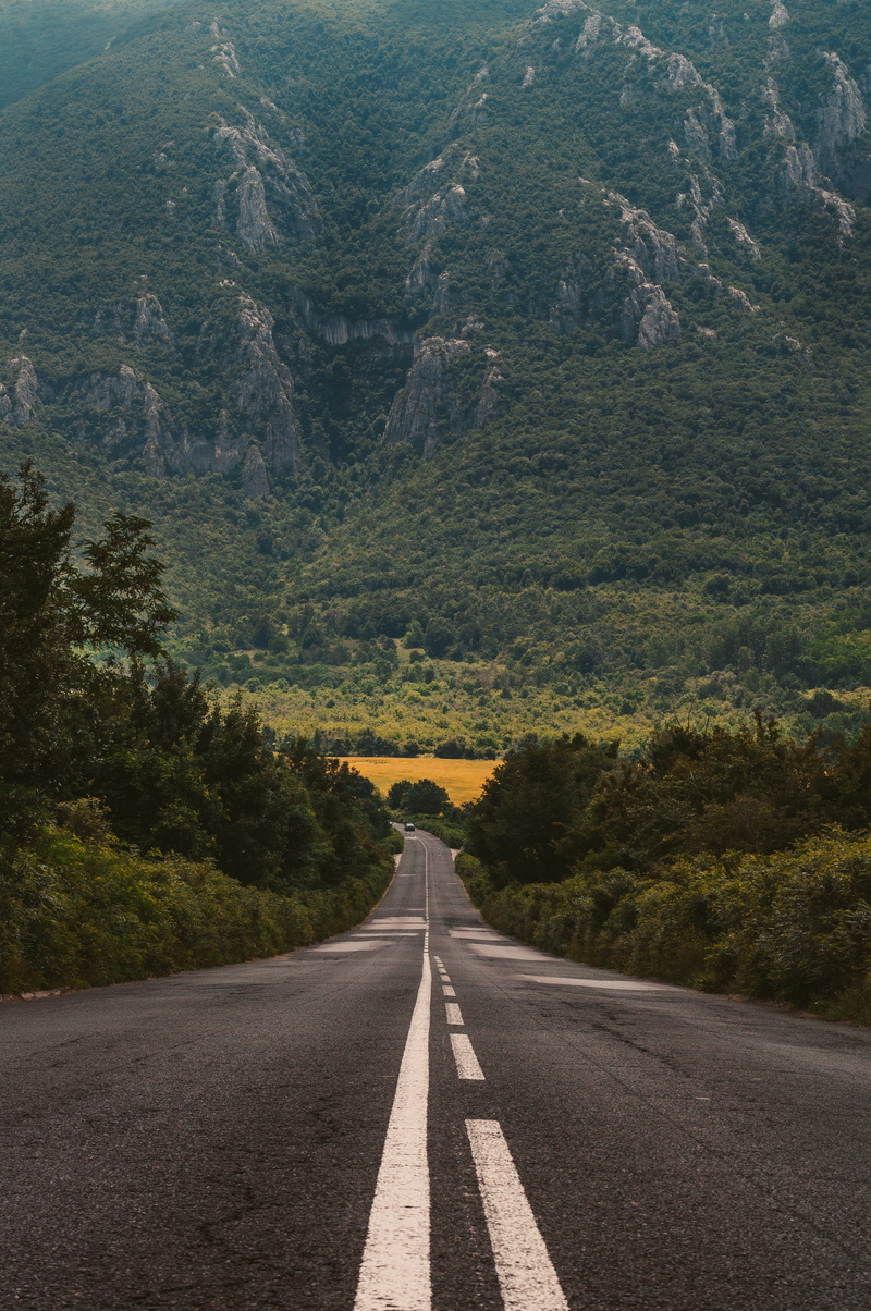 road marking, concrete, angle, towards, beauty in nature, no people, wilderness, open road, transportation, plant, high, wild life, daytime, tranquility