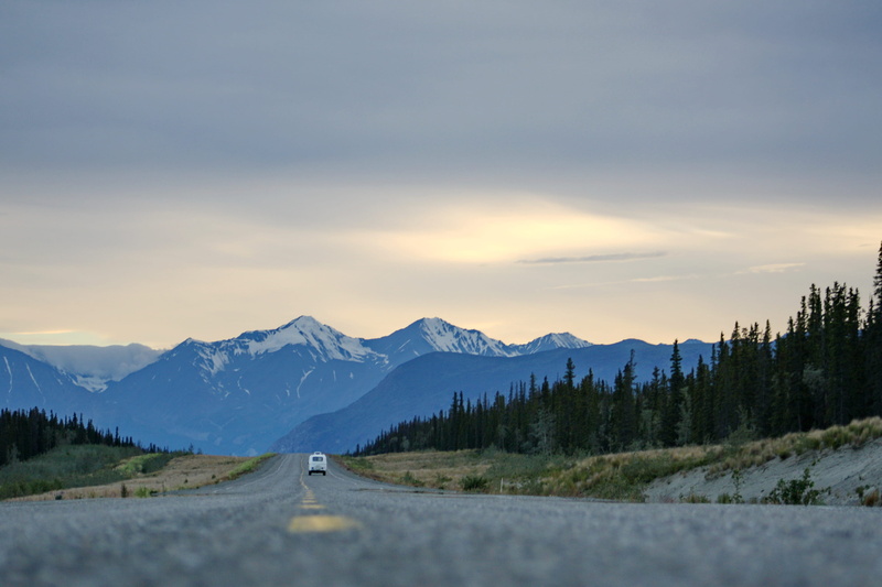 travel, vw, tranquility, towards, campervan, pine woodland, 2K, moving, mountains, nature, coniferous tree, triproadtrip, direction, the way forward, trip