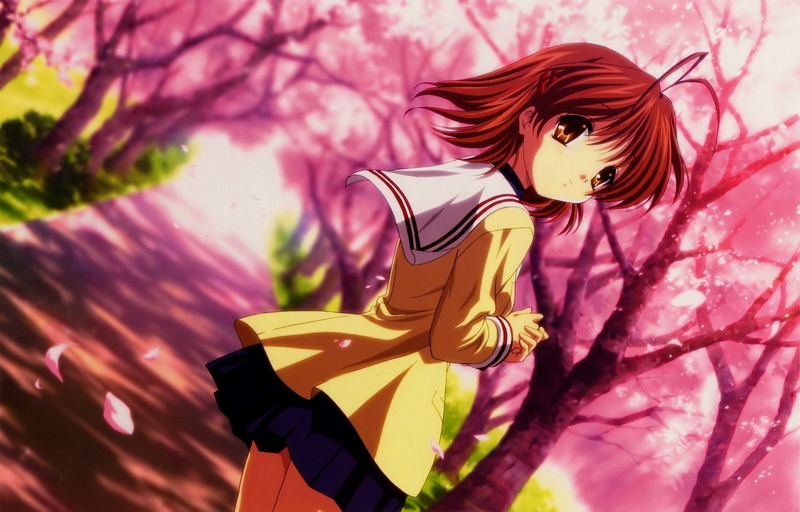 1080P, Clannad, Anime, Nagisa Furukawa