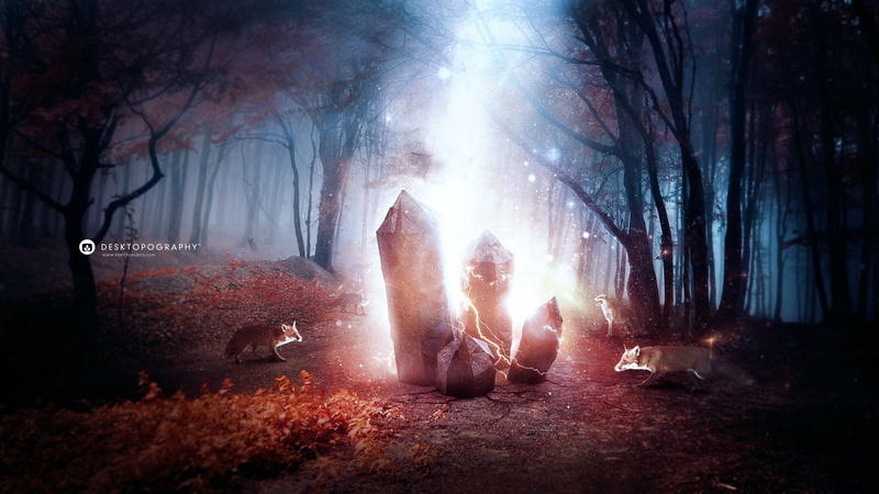 land, adult, rear view, relaxation, llustration, real people, fox, people, crystal, sunbeam, leisure activity, sitting, tree trunk, Desktopography, rocks