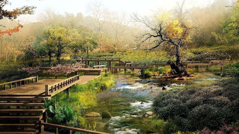 plant, tree, architecture, growth, bridge - man made structure, stream - flowing water, tranquility, water, footbridge, lake, day, 1080P, no people, tranquil scene