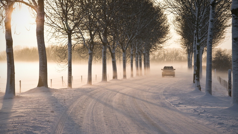 hd, sunlight, nature, path, trail, road, trees, winter, 1080P, snow