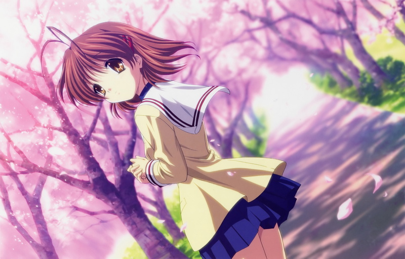 art and craft, Furukawa Nagisa, pink color, flowering plant, flower, fragility, nature, 4K, day, floral, purple, textile, vulnerability, Clannad, tree