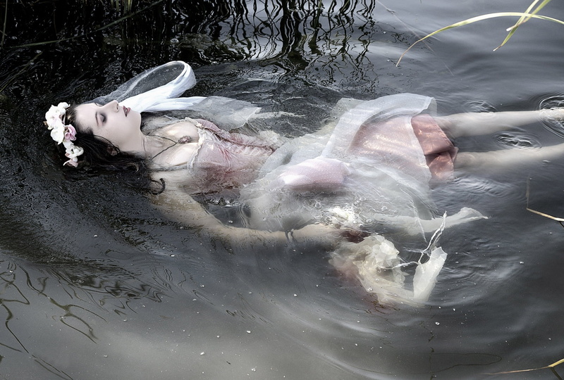 one animal, 1080P, dead, day, animal, necklace, swimming, animal themes, corpse, nature, vertebrate, waterfront, animals in the wild, outdoors, model